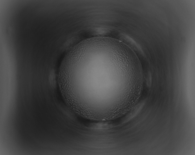 X0000100910366200806241318