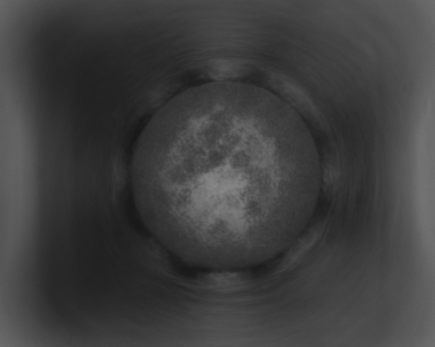 X0000100910367200806241318