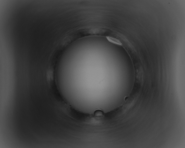 X0000100910368200806241318