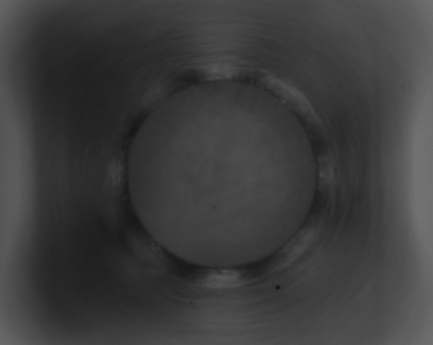 X0000100910369200806241318