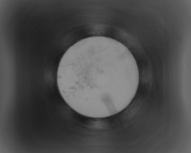 X0000100910370200806241318