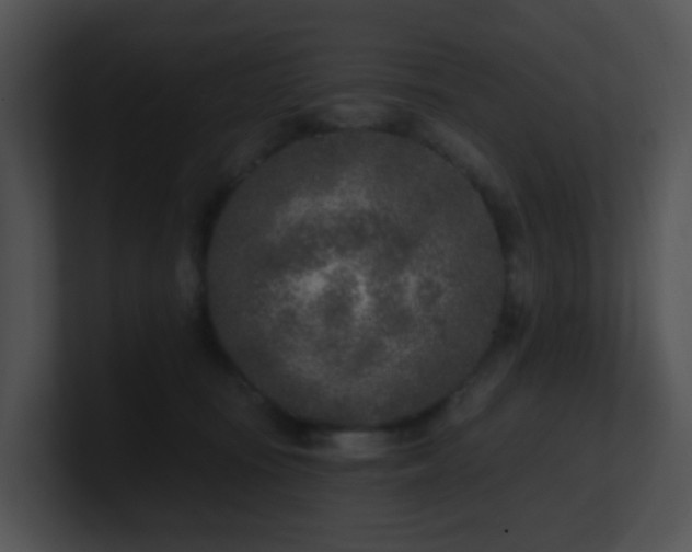 X0000100910371200806241318