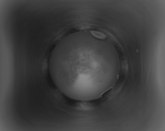 X0000100910372200806241318