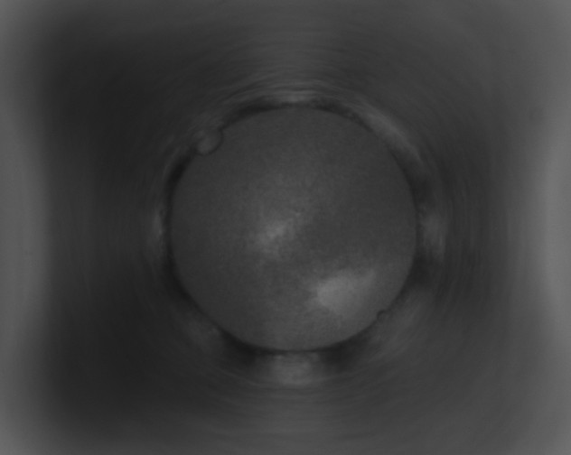 X0000100910373200806241318