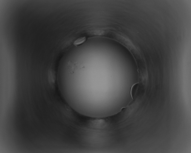 X0000100910374200806241318