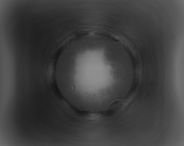 X0000100910376200806241318