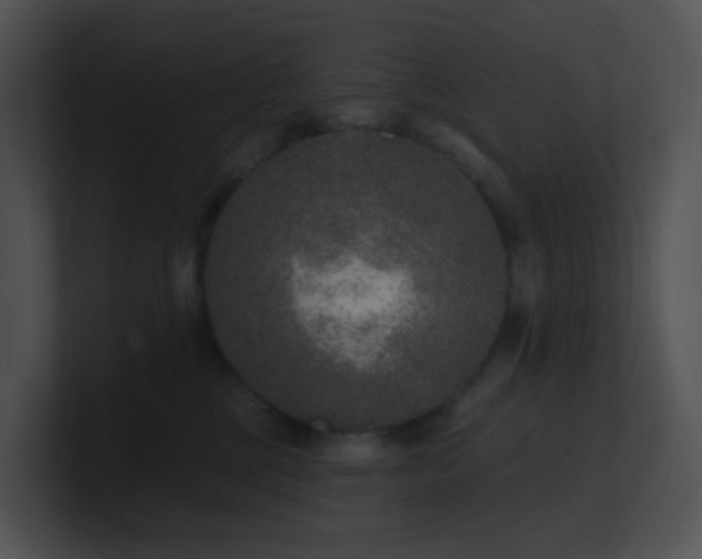X0000100910377200806241318