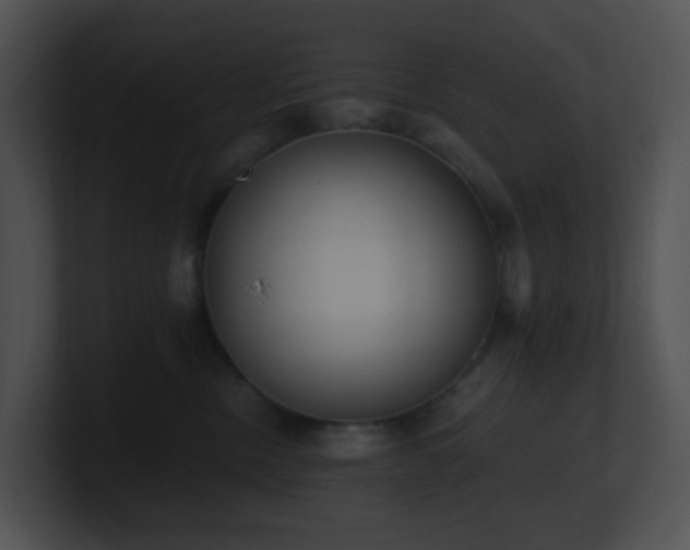 X0000100910378200806241318