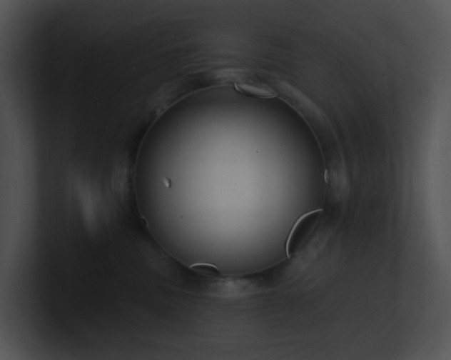 X0000100910379200806241318