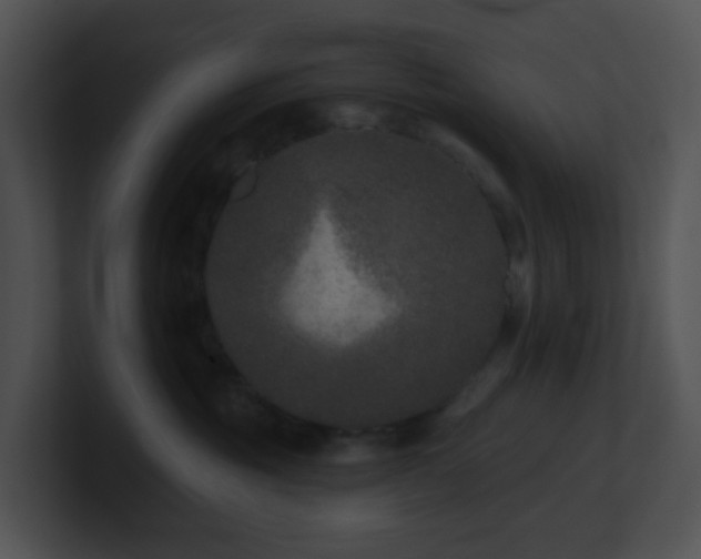 X0000100910381200806241318