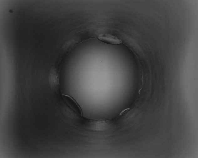 X0000100910384200806241318