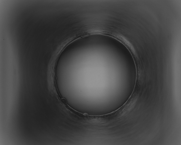 X0000100910385200806241318