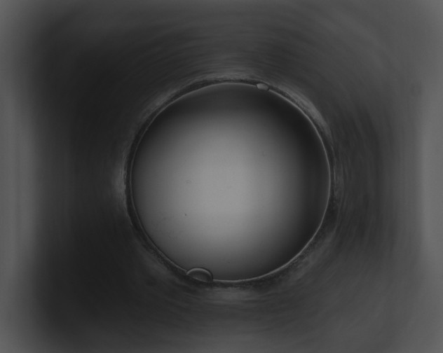 X0000100910389200806241318