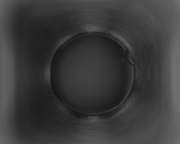X0000100910391200806241318