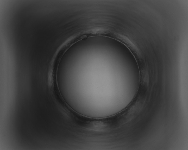 X0000100910392200806241318