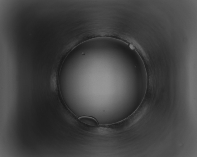 X0000100910393200806241318