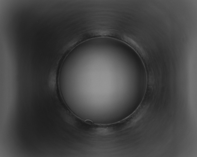 X0000100910394200806241318