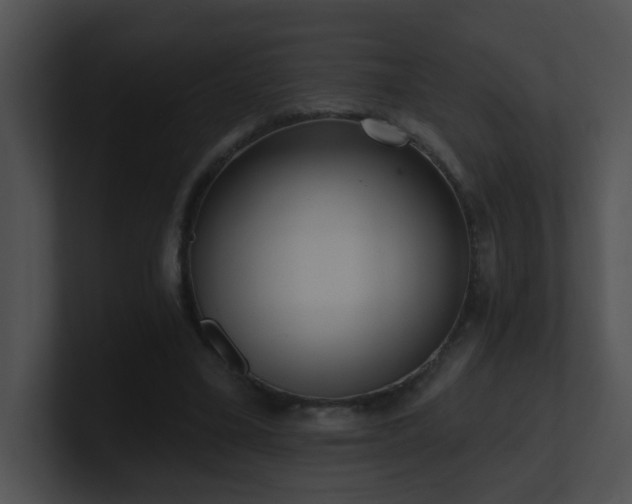 X0000100910395200806241318