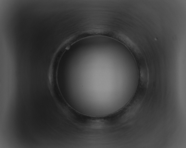 X0000100910396200806241318