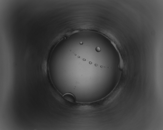 X0000100910397200806241317