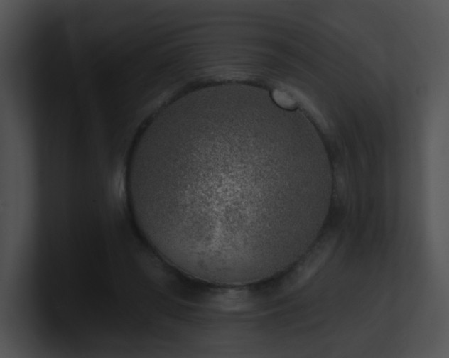 X0000100910398200806241317