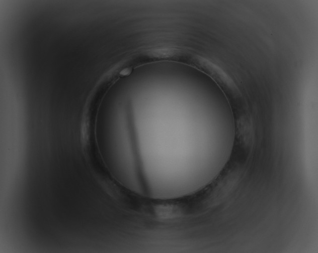 X0000100910400200806241317