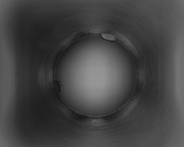 X0000100910401200806241317