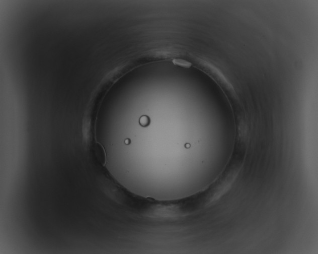 X0000100910403200806241317