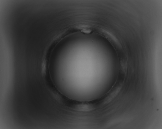 X0000100910404200806241317