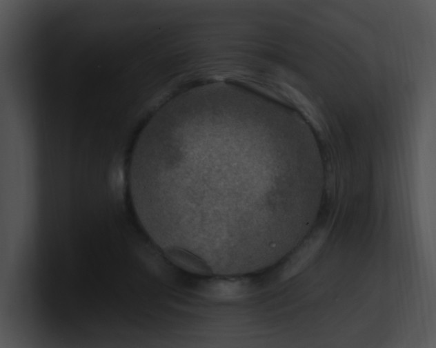 X0000100910405200806241317