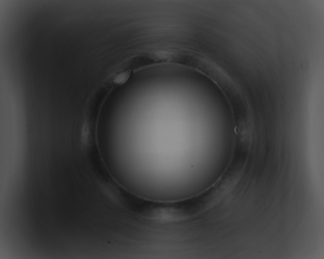 X0000100910408200806241317