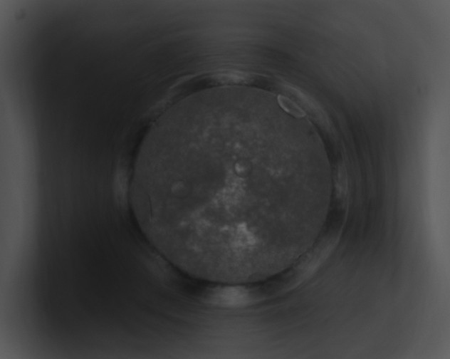 X0000100910409200806241317