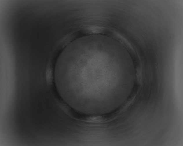 X0000100910410200806241317