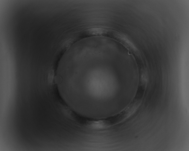 X0000100910411200806241317