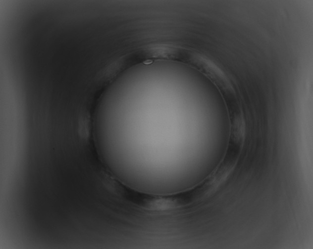 X0000100910413200806241317