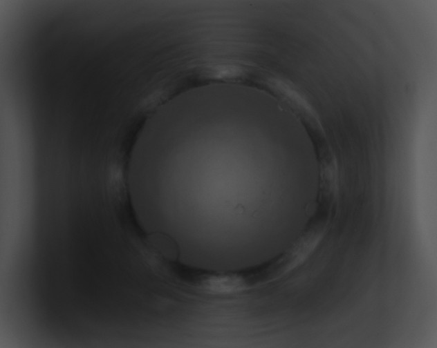 X0000100910415200806241317