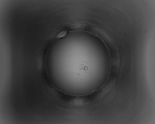 X0000100910416200806241317