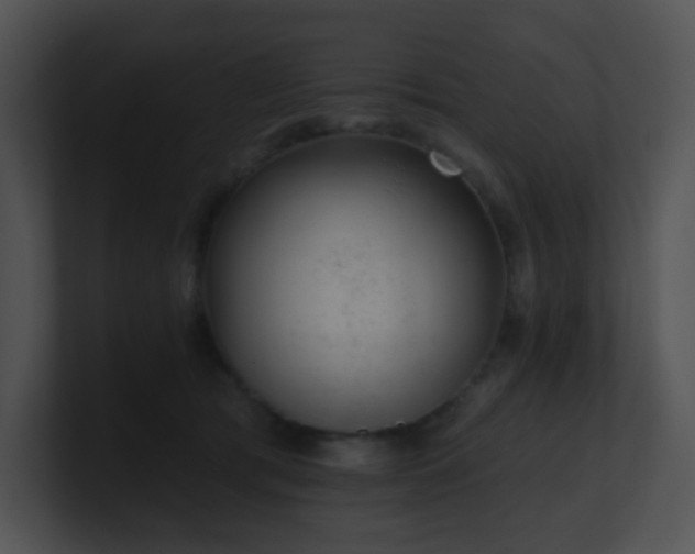 X0000100910417200806241317
