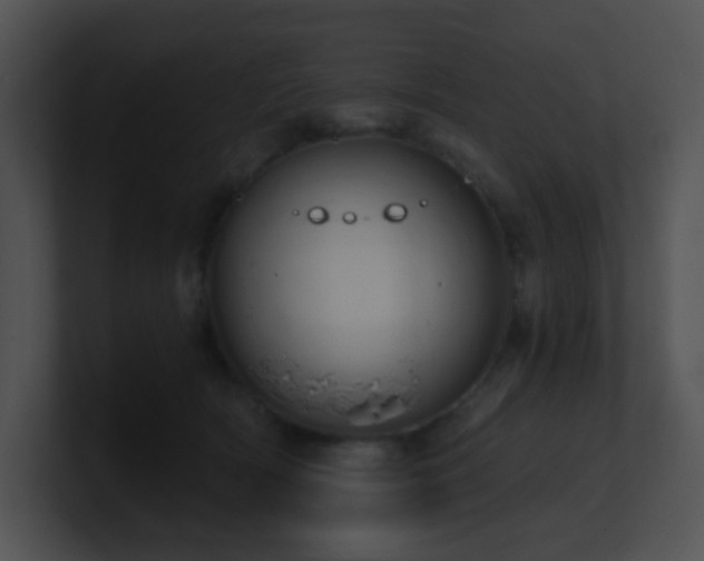 X0000100910418200806241317