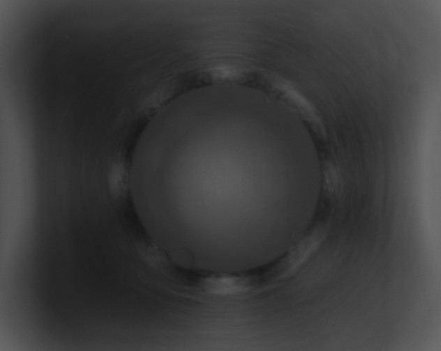 X0000100910419200806241317
