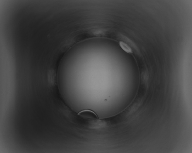 X0000100910421200806241317