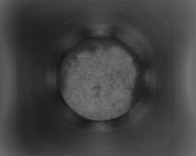 X0000100910423200806241317