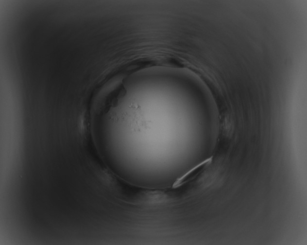 X0000100910424200806241317