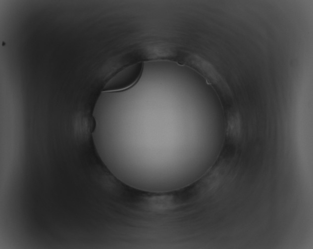 X0000100910426200806241317