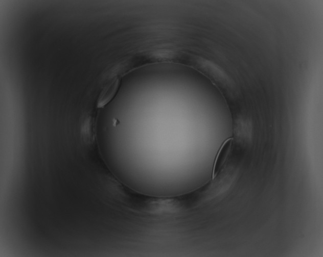 X0000100910428200806241317