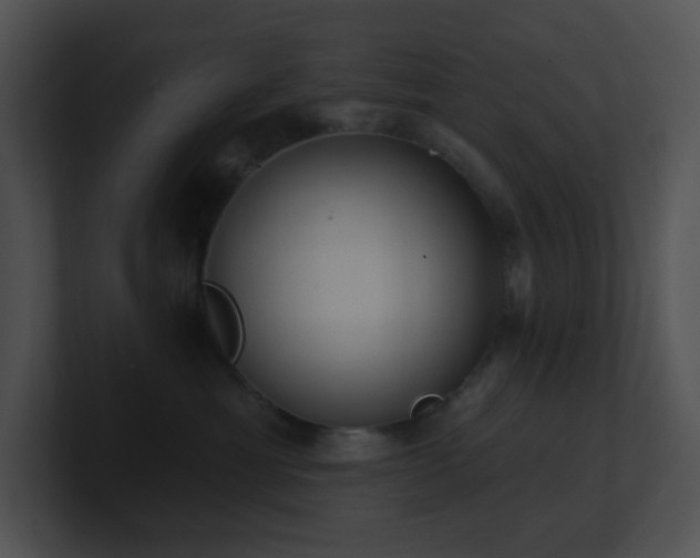 X0000100910429200806241317