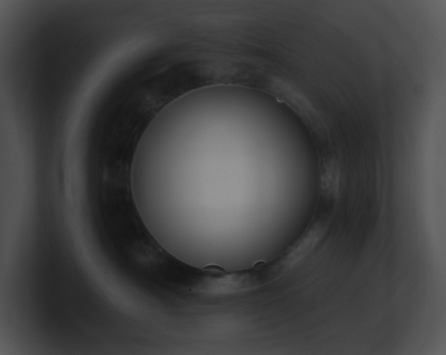 X0000100910430200806241317