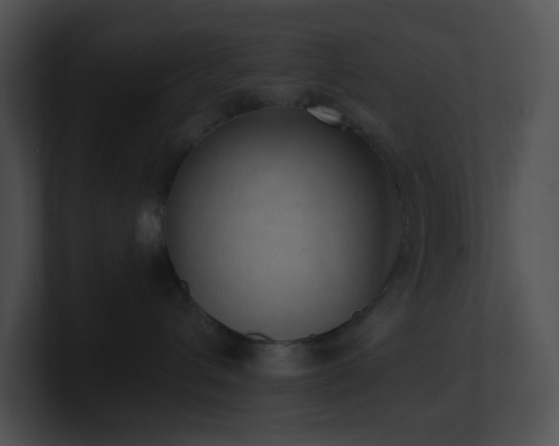 X0000100910432200806241317