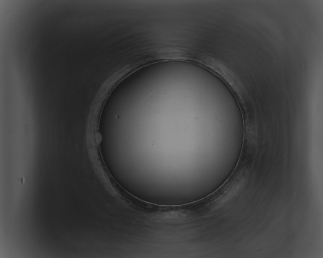 X0000100910433200806241316