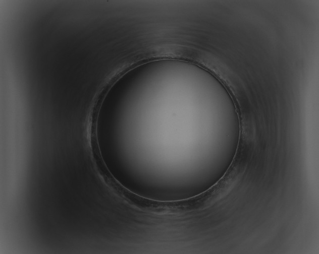X0000100910434200806241316